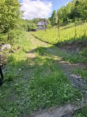 Superbă casă cu teren ,garaj !! - imagine 3