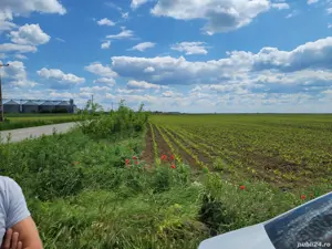 Vand teren Carani la sosea spre Baile Calacea 1.16 HA - imagine 10