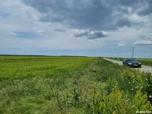 Vand teren Carani la sosea spre Baile Calacea 1.16 HA - imagine 9