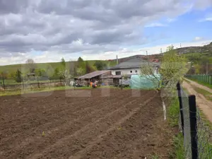 Casă la cheie cu teren de 1650 mp, Sălicea - imagine 5