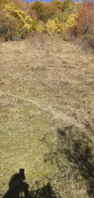 Teren de vânzare Valea Cernei  - imagine 3