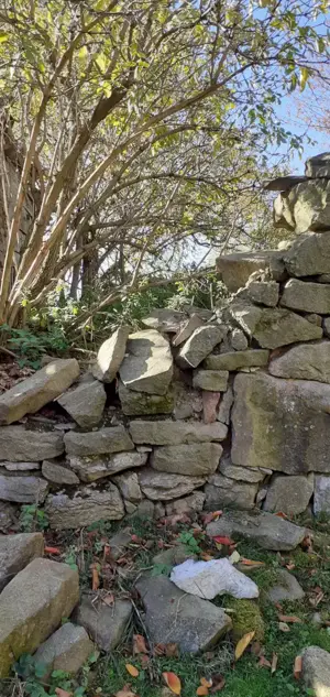 Teren de vânzare Valea Cernei  - imagine 9