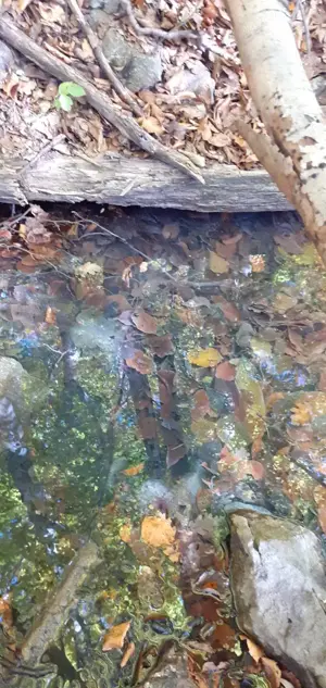 Teren de vânzare Valea Cernei  - imagine 5