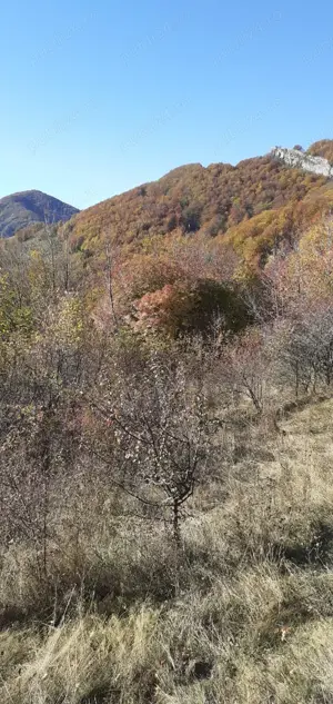 Teren de vânzare Valea Cernei  - imagine 6