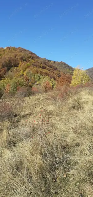 Teren de vânzare Valea Cernei  - imagine 7