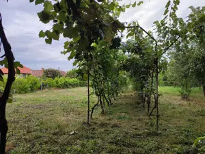 Casă de vânzare în Ineu, jud. Arad - imagine 8
