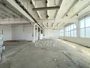 Hala depozitare sau productie, 470 mp, Zona Buziasului