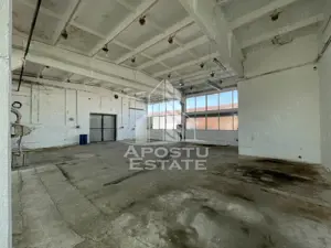 Hala depozitare sau productie, 310 mp, Zona Buziasului - imagine 2