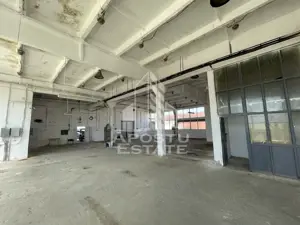 Hala depozitare sau productie, 310 mp, Zona Buziasului - imagine 3