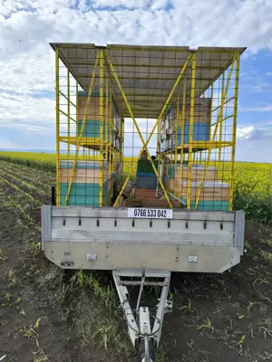 Vând remorca cu modul apicol 