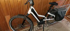 Bicicleta electrica Riese Muller