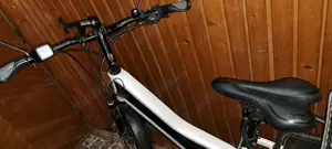 Bicicleta electrica Riese Muller - imagine 2