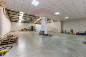 Spațiu industrial Parc Uta 1 - 338 mp utili - imagine 4