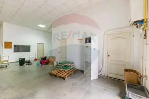 Spațiu industrial Parc Uta 1 - 338 mp utili - imagine 12