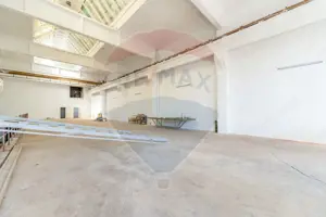 Spațiu industrial Parc Uta 1 - 696 mp utili - imagine 9