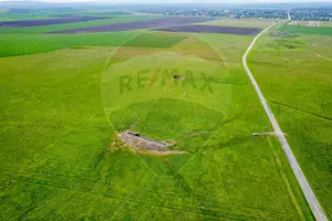 Teren agricol 5 ha, extravilan, 52 m deschidere la șosea - imagine 10