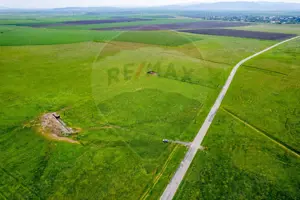 Teren agricol 5 ha, extravilan, 52 m deschidere la șosea - imagine 9