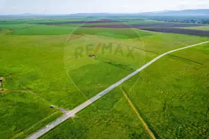 Teren agricol 5 ha, extravilan, 52 m deschidere la șosea - imagine 8