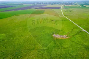 Teren agricol 5 ha, extravilan, 52 m deschidere la șosea - imagine 12