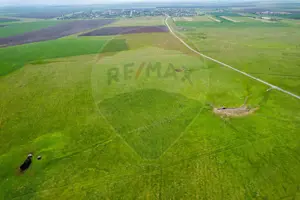 Teren agricol 5 ha, extravilan, 52 m deschidere la șosea - imagine 11