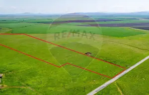 Teren agricol 5 ha, extravilan, 52 m deschidere la șosea - imagine 2