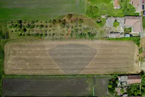 Teren intravilan 5,018mp Variasu Mare - 15 km de Arad/ str. Principală - imagine 9