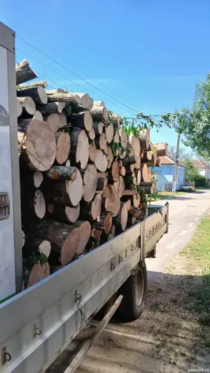 lemn de foc - imagine 5