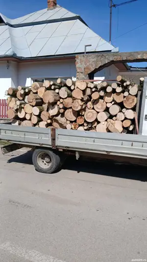 lemn de foc - imagine 4