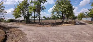 Vând teren intravilan sat Sabangia jud Tulcea - imagine 3