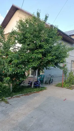 Vanzare casa Magurele-Ilfov - imagine 5