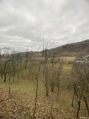 Teren Intravilan Stefesti Prahova 1618 MP - imagine 4