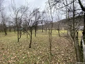 Teren Intravilan Stefesti Prahova 1618 MP - imagine 5