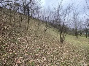 Teren Intravilan Stefesti Prahova 1618 MP - imagine 8