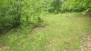 Teren 1000m2 in Breaza, jud. Prahova, strada Lazului