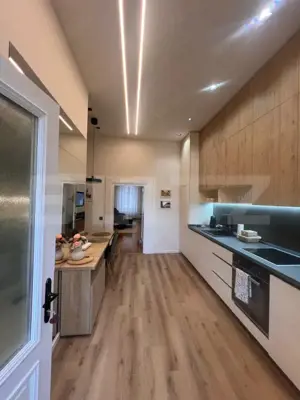 Apartament de vanzare, cu o cameră, 55 mp, zona Centrul Istoric - imagine 7