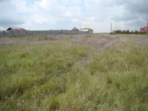 Vand teren intravilan 1926mp Gostilele jud Calarași - imagine 8