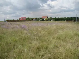 Vand teren intravilan 1926mp Gostilele jud Calarași - imagine 7