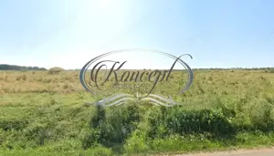 Teren intravilan in Salicea - imagine 3