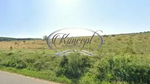 Teren intravilan in Salicea - imagine 2