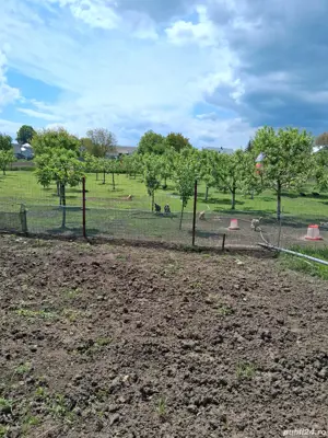 vind casă Serbanesti  - imagine 2 vind casă Serbanesti  - imagine 2