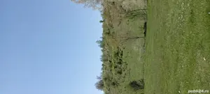 vând teren și casă  - imagine 10