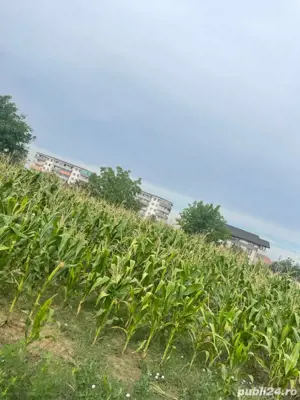 Pantelimon  Intrarea Campului - imagine 6