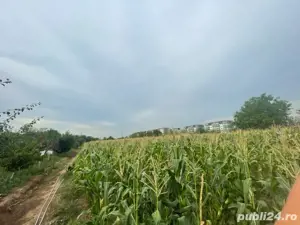 Pantelimon  Intrarea Campului - imagine 4