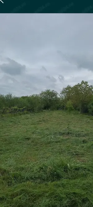 Vand teren în Salonta 14 euro mp - imagine 2