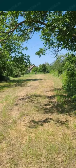 Vand teren în Salonta 14 euro mp - imagine 6