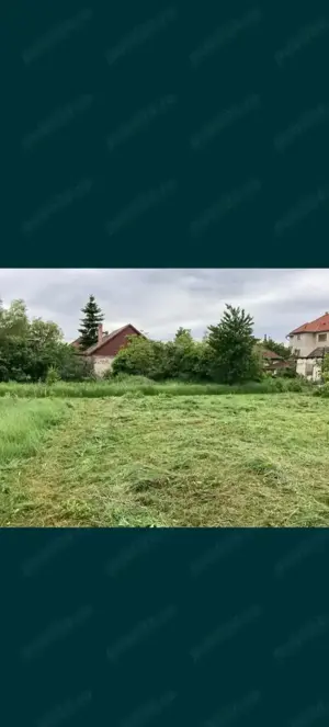 Vand teren în Salonta 14 euro mp - imagine 5