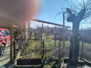 vand casa Periam jud. Timis - imagine 4 vand casa Periam jud. Timis - imagine 4