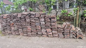  Tigla ceramica de Jimbolia - imagine 2