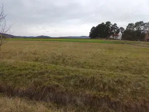 Teren extravilan 2200 mp Arcus -Valea Crisului - imagine 5