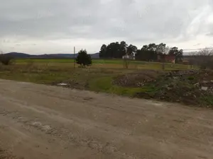 Teren extravilan 2200 mp Arcus -Valea Crisului - imagine 4